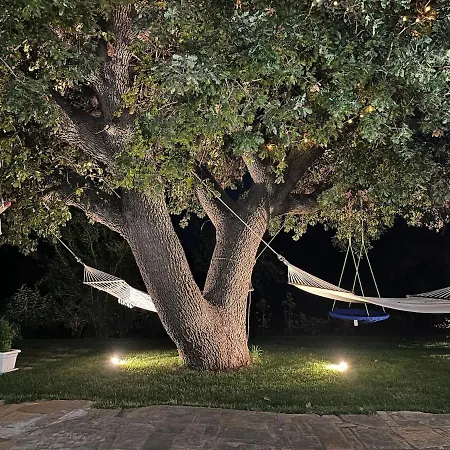 Trullo La Quercia With Pool Dom wakacyjny San Michele Salentino